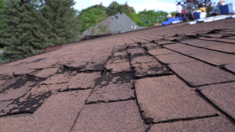  St Charles, IL Roofing Pros